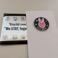 StrayKids スキズ ピンバッチ チャンビン トェッキ 展覧会展示会