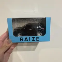 シロシロ様専用＊RAIZE ミニカー