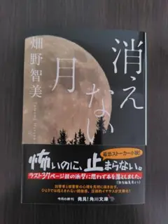 最終価格 小説「消えない月」 畑野智美