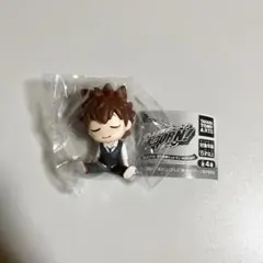 肩ズンFig 家庭教師ヒットマンREBORN リボーン　沢田綱吉　ツナ