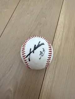 Item thumbnail for item 4d9165db-041a-44e2-96c9-e1d53277ca38