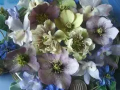 petit chamomile様 リクエスト 2点 まとめ商品