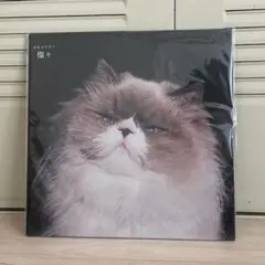 2025年最新】カネコアヤノ 燦々 レコードの人気アイテム - メルカリ