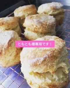 ともとも様専用　ELEVENSES　なんでもない日のおやつ　スコーン　9個セット