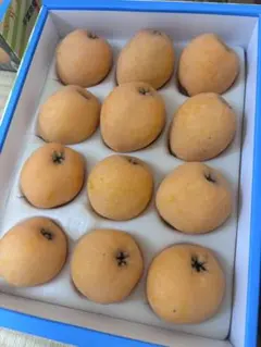千葉県産びわ1キロ 農薬未使用③ - メルカリ