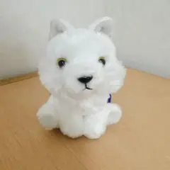 もふっと オオカミ ミステリアス　レイラ