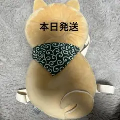 Item thumbnail for item 31df12ab-9074-49a2-9e0d-d070fabf2f34