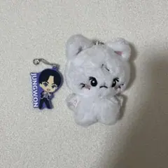 【おまけ付き】ENHYPEN ジョンウォン ぬいぐるみ 10cmぬい ヤンコミ