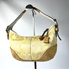 COACH アクセサリーポーチ ワンショルダーバッグ シグネチャー 水色
