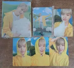 SEVENTEENTH HEAVEN Carat盤 ディノ ①