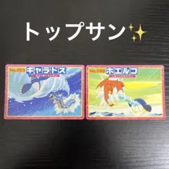 【希少✨】ポケモン トップサン　ギャラドス ホエルコ 2枚セット