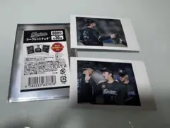千葉ロッテ BSWシークレットチェキ 横山陸人 2種セット