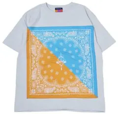 RADIO EVA EVA-01 PAISLEY Tシャツのサムネイル