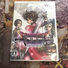 ドラゴンクエストソード　仮面の女王と鏡の塔　wii ソフト
