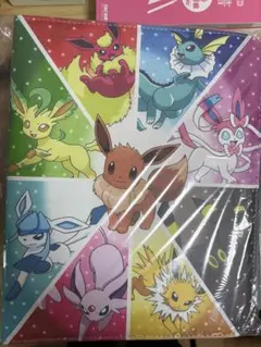 イーブイ進化系 ポケモンカード アルバム 900枚収納 大容量 2種表紙 新品