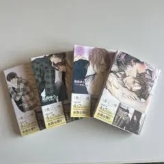 美しい彼 全4巻セット バラ売り化⭕️