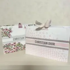 Dior ショッパー　2枚セット