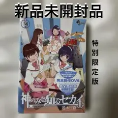 神のみぞ知るセカイ 14巻 DVD付き特別限定版 - メルカリ