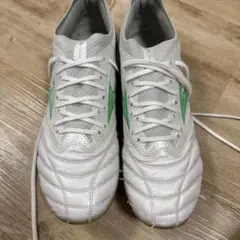 Mizuno モレリアネオβ