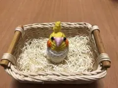 Item thumbnail for item a50f2293-5bc1-442c-ba6b-27dfb098d1ab