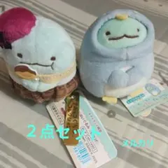 すみっコぐらしコレクション てのりぬいぐるみ とかげ キディランド限定 ２個