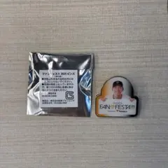 GIANTS ファンフェスタ 2025 戸郷 ピンズ
