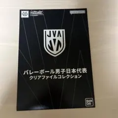 甲斐優斗　バレーボール男子日本代表　クリアファイルコレクション