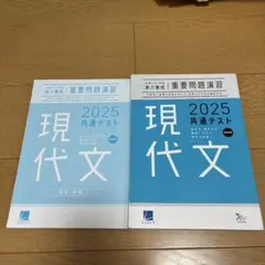 現代文 2025 共通テスト 問題集