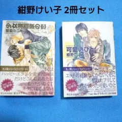 紺野けい子「可愛いひと」「少女漫画家の恋」2冊セット
