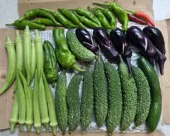 (ミニ)野菜詰め合わせのサムネイル