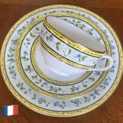 フランス製　レイノー・リモージュ★モーニンググローリー★爽やかなディナー皿5枚 フランス製 レイノー・リモージュ☆モーニンググローリー
