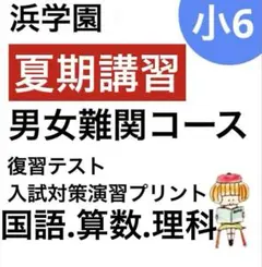 no22503103_【浜学園】小6国語　復習テスト・年間フルセット　おまけ付！ 2026年最新】浜学園 小6 復習テストの人気アイテム - メルカリ