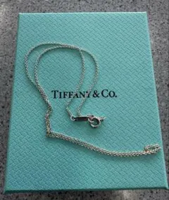 現行品Tiffanyティファニー チェーンネックレス ミディアム 51cm 