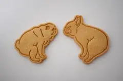 Item thumbnail for item 1d157345-88dd-424d-8659-be3bc869d43e