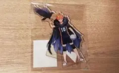 2026年最新】ハイドリ アクスタの人気アイテム - メルカリ