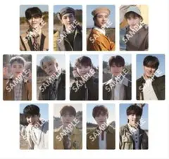 SEVENTEEN ディノ 会場限定トレカ まとめ売り HANABI〜RHまで HANABIチェキ26点コンプセット