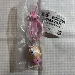 KUMATAN カラフルマルチチャーム