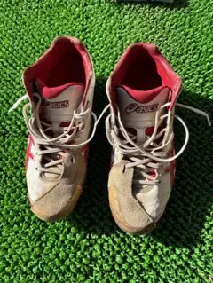 ポイントスパイク 26.5