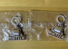 SEVENTEEN セブチ MINITEEN ディノ めじるしアクセサリー