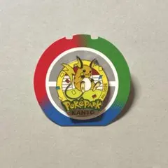 ポケパークカントー限定ピンズ ライチュウ - メルカリ
