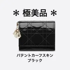 2026年最新】dior ロータスウォレット ladyの人気アイテム - メルカリ