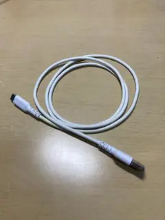 Type-C USBケーブル 約1.0m tama's
