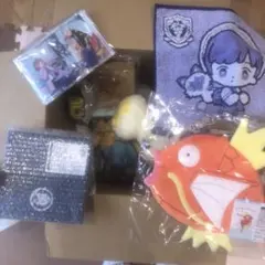 ピカピカボックス2026 コイキング　オス　イーブイ