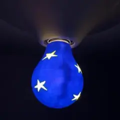 激レア雑貨　新品　FIMO bulbs デザイナーズライト　星空電球　入手困難