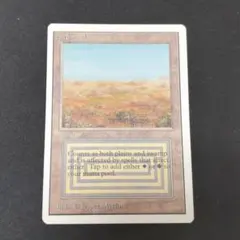 2026年最新】scrublandの人気アイテム - メルカリ