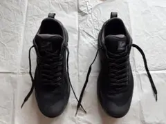 DANNERダナーTRAIL 2650 MESH GTX 61204 26.5㎝のサムネイル