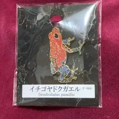 イチゴヤドクガエル ピンズ