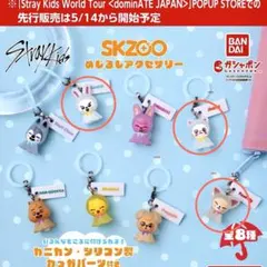 【StrayKids】SKZOO めじるしアクセサリー