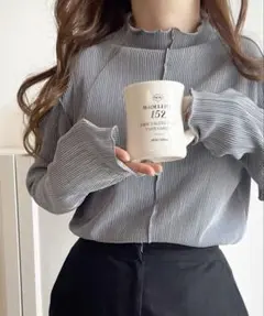 上品な光沢感。2wayメロープリーツハイネックトップス