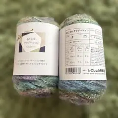 あこがれグラデーション 7号毛糸 251